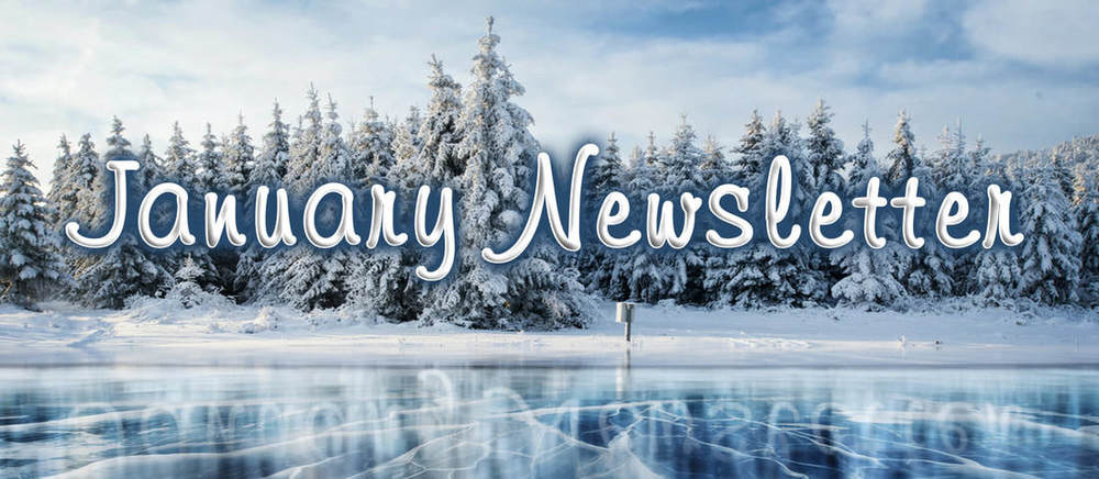 Jan newsletter
